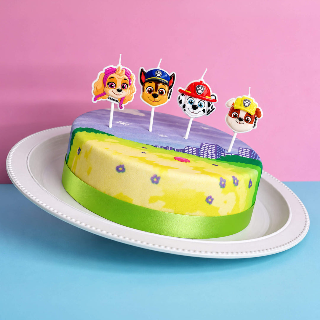 Paw Patrol® na kolorowym torcie łąkowym