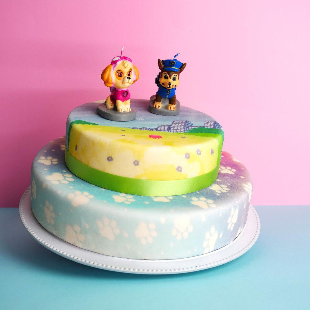 Paw Patrol® auf 2-stöckiger bunter Wiesen-Torte