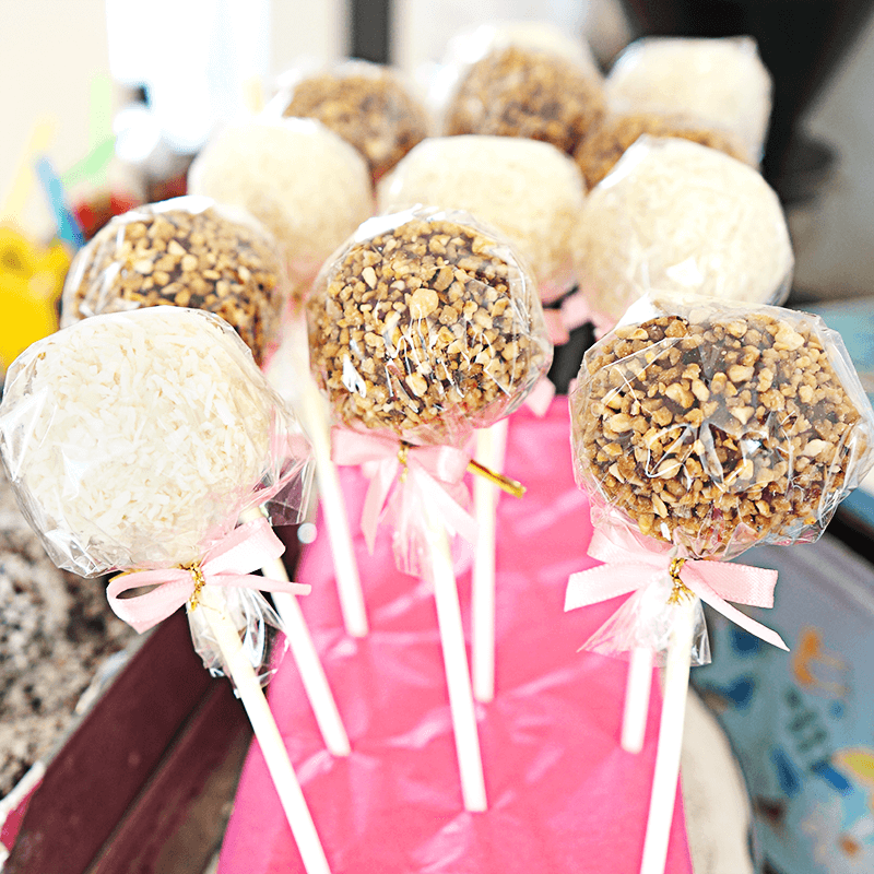 Cake-Pops, orzech laskowy & wiórki kokosowe (12 sztuk)